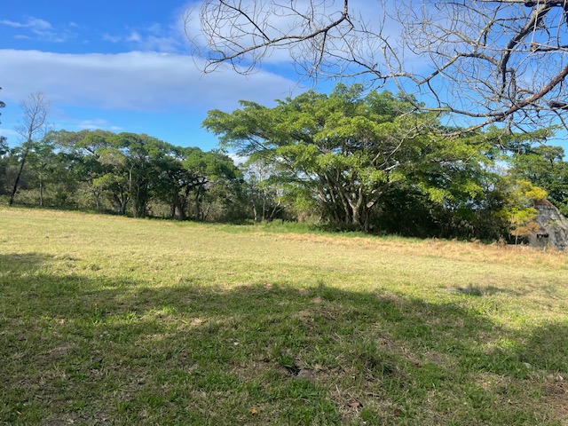 3 Bedroom Property for Sale in Summerpride Eastern Cape